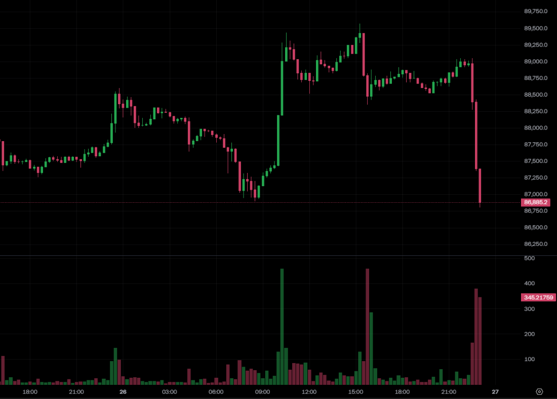 やっつけろ! ビットコインは 87,000 ドルを下回った、イーサリアムは 2,900 ドルを失い、マギーの強気な注文は再び挫折し、ビットコイン OG クジラは 5,600 万 mg を失いました